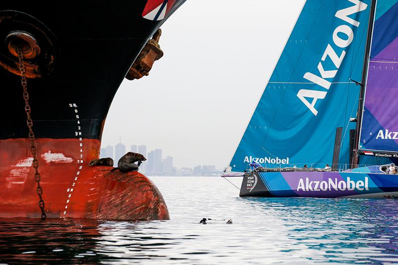 team AkzoNoble, Leg 3, Cape Town to Melbourne, arrivals - Volvo Ocean Race 2017 - photo © Jesus Renedo / Volvo Ocean Race