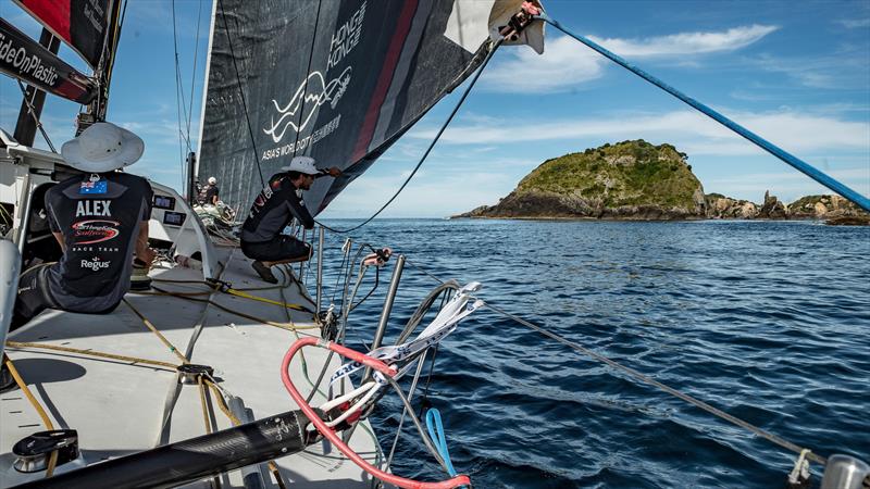 Leg 6 to Auckland, Day 20 on board Sun hung Kai / Scallywag. Passing very close to the rocks, Antonio Fontes checking the risks. 27 February, . - photo © Jeremie Lecaudey / Volvo Ocean Race