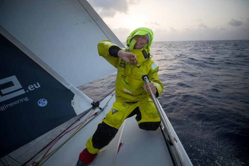 Volvo Ocean Race Leg 8 from Itajai to Newport, day 10, on board Brunel. Nina Curtis cleans weeds from the bow photo copyright Sam Greenfield / Volvo Ocean Race taken at  and featuring the Volvo One-Design class