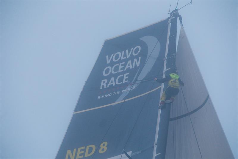 Team Brunel - Leg 8 from Itajai to Newport. Arrivals. 08 May, 2018 photo copyright Jesus Renedo / Volvo Ocean Race taken at  and featuring the Volvo One-Design class