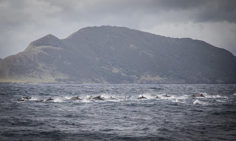 Coromandel Peninsula, New Zealand - Leg 6 Volvo Ocean Race - March 19, 2018 - photo © Konrad Frost / Volvo Ocean Race