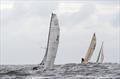 Zhik (VX One) leads Filska (Melges 24) during the Royal Northumberland Yacht Club Regatta © Alan Smith