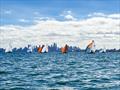 VX One Victorian Titles 2026 at Royal Brighton Yacht Club &copy; Royal Brighton Yacht Club