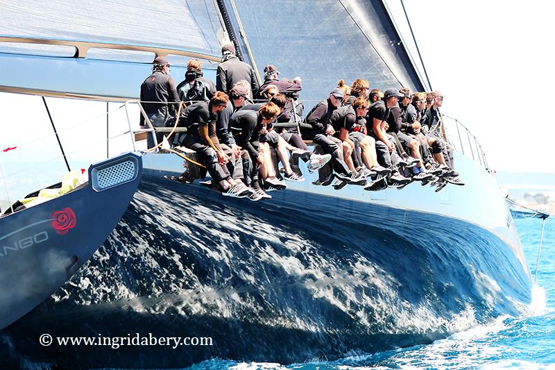 Sail Racing PalmaVela day 2 photo copyright Ingrid Abery / www.ingridabery.com taken at Real Club Náutico de Palma and featuring the Wally class