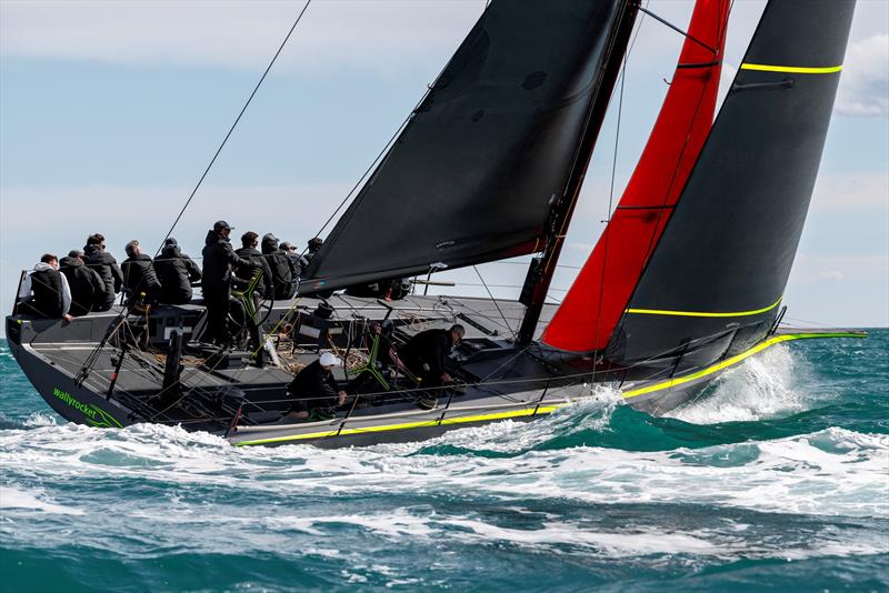 wallyrocket51 - photo © Gilles Martin-Raget