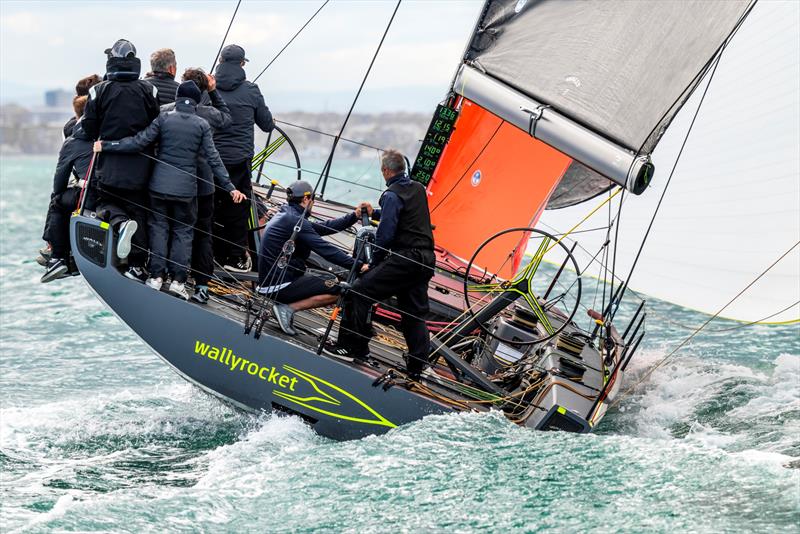 wallyrocket51 - photo © Gilles Martin-Raget