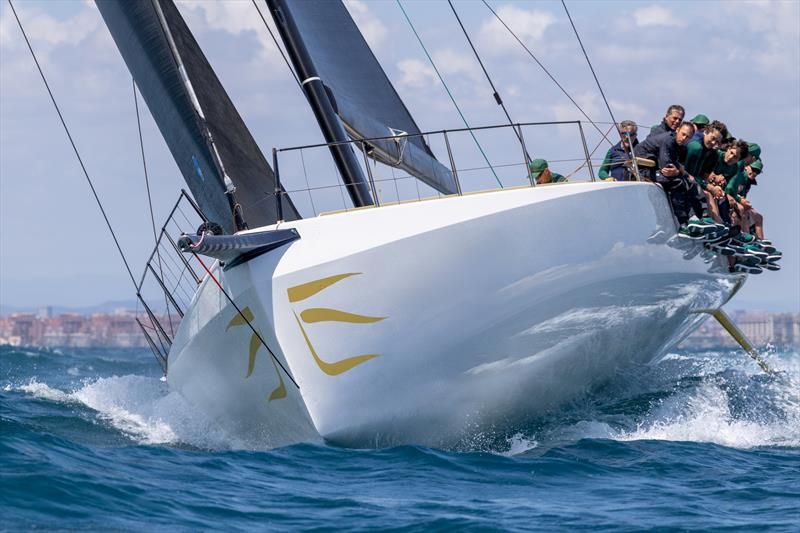 wallyrocket71 - photo © Gilles Martin-Raget