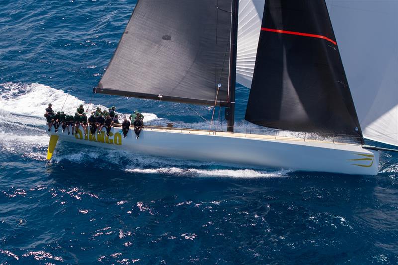 wallyrocket71 - photo © Gilles Martin-Raget