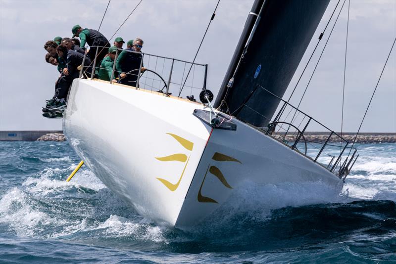 wallyrocket71 - photo © Gilles Martin-Raget