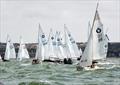 Wanderer Nationals 2026 at Whitstable &copy; Nick Champion / www.championmarinephotography.co.uk