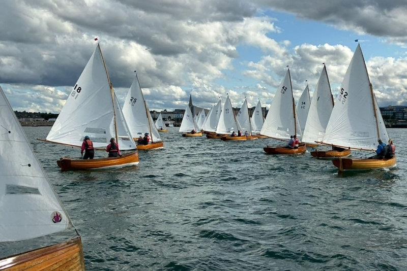 Water Wags sailing in Dublin Bay - photo © Vincent Delany