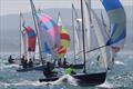 Wayfarer International Championship 2019 © Alan Jones