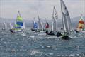 Wayfarer International Championship 2019 © Alan Jones