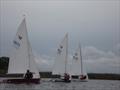 Wayfarers at Hickling Broad © HBSC