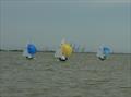 Craftinsure Wayfarer Eastern Championship at Medway © MYC