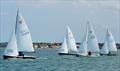 First beat - Wayfarer Southern Championship 2026 at Whitstable &copy; Matthew Young