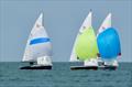 Wayfarer Southern Championship 2026 at Whitstable &copy; Matthew Young