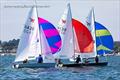 &copy; David Harding / www.sailingscenes.com
