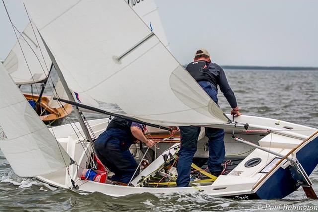 Wayfarer Eastern Area Championship at Medway YC - photo © Paul Babington