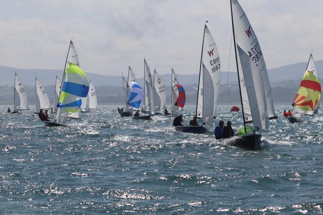 Wayfarer International Championship 2019 photo copyright Alan Jones taken at Greystones Sailing Club and featuring the Wayfarer class