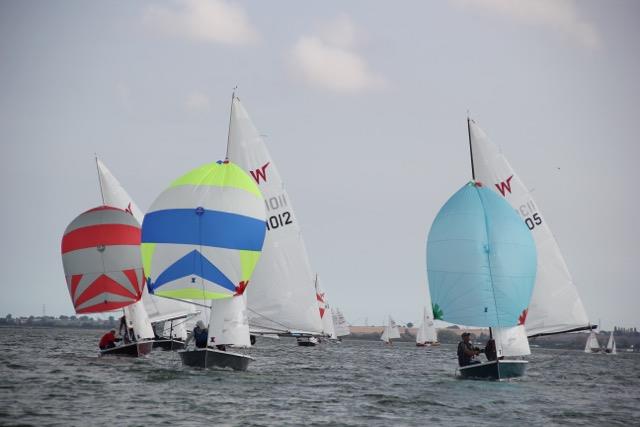 Wayfarer Eastern Championship at Blackwater - photo © Zoe Nelson