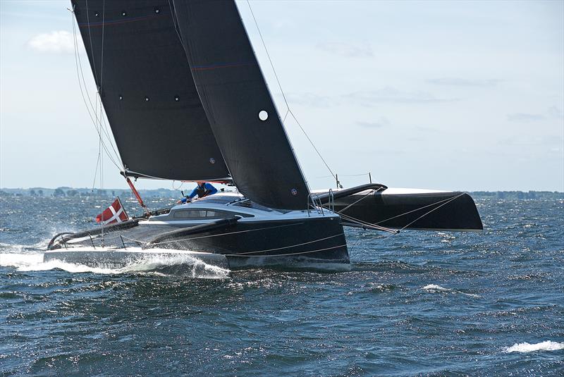 trimaran black marlin