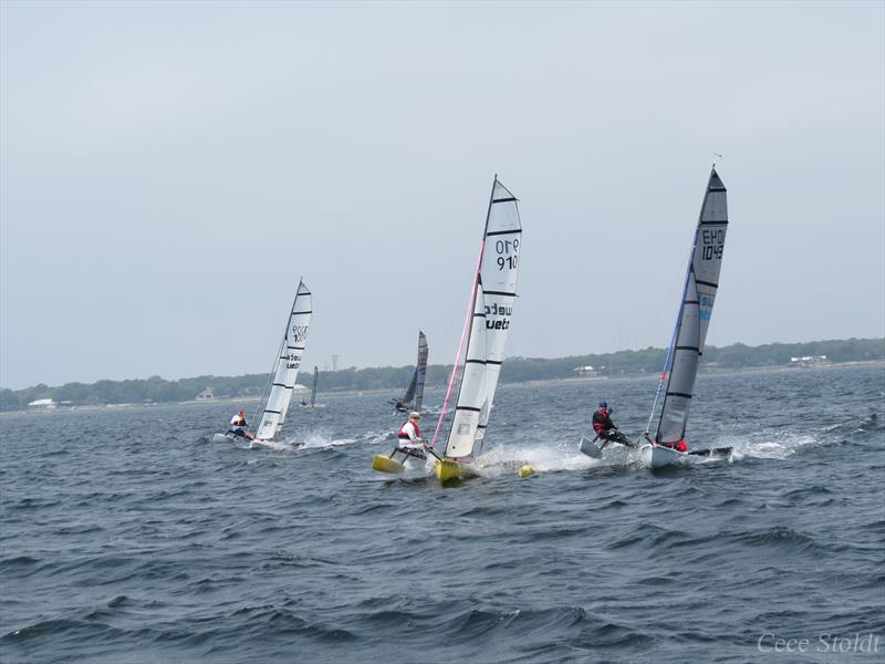 Weta trimarans in action photo copyright Cece Stoldt taken at Fort Walton Yacht Club and featuring the Weta class