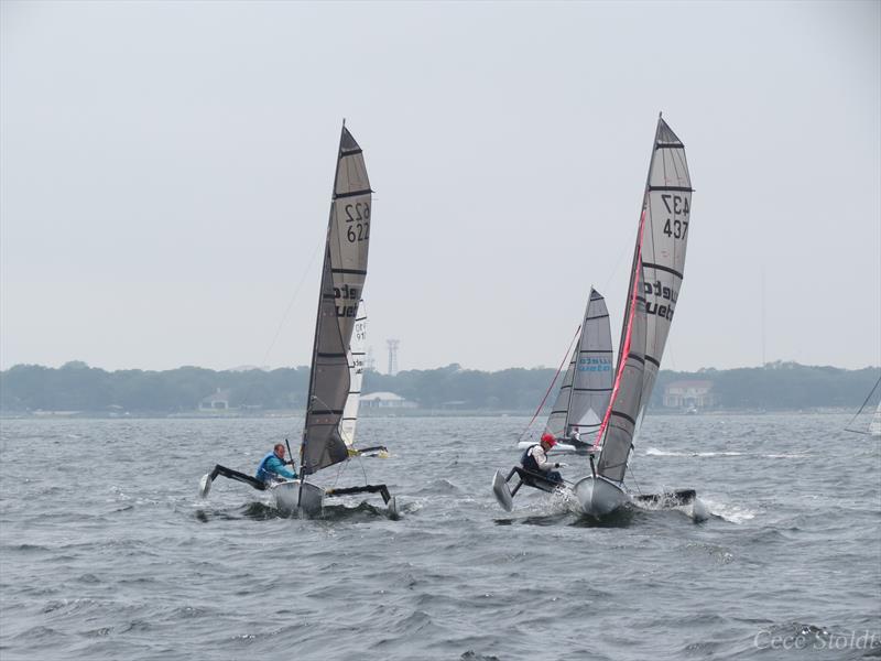 Weta trimarans in action photo copyright Cece Stoldt taken at Fort Walton Yacht Club and featuring the Weta class