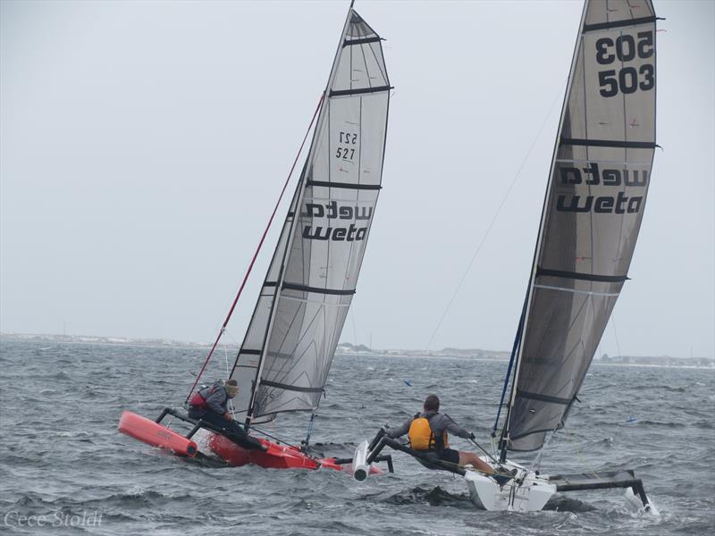 Weta trimarans in action photo copyright Cece Stoldt taken at Fort Walton Yacht Club and featuring the Weta class