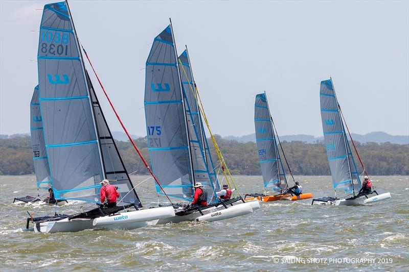 2019 Queensland Weta State Titles - photo © Julie Hartwig - Sailing Shotz Photography