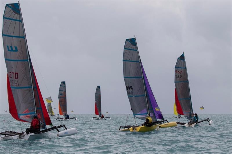 The Weta fleet - 2021 Airlie Beach Race Week photo copyright Shirley Wodson / ABRW taken at Whitsunday Sailing Club and featuring the Weta class