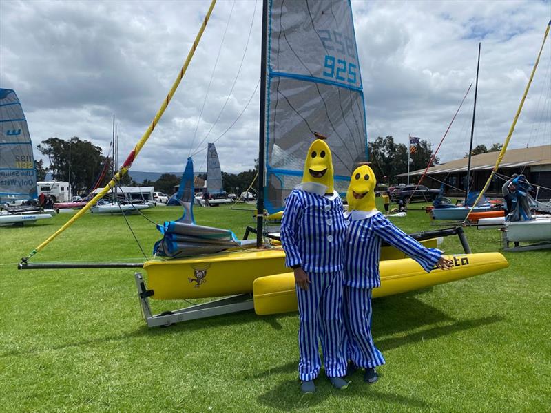 Australian Weta Class National Championships - Bananas in Pyjamas on Go Bananas photo copyright Aus Weta taken at Port Kembla Sailing Club and featuring the Weta class