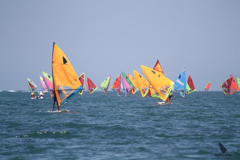 Marathon fleet - Windsurfer One Design Australian Championships photo copyright Jane Leonard taken at Parkdale Yacht Club and featuring the Windsurfing class