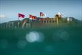 &copy; Samuel Cardenas