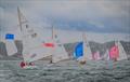 Taittinger RSYC Regatta &copy; Tim Jeffreys Photography
