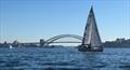 2025 X-Yachts Aurum Cup in Sydney © Kevin Wallis