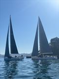 2025 X-Yachts Aurum Cup in Sydney © Kevin Wallis