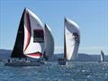 2025 X-Yachts Aurum Cup in Sydney © Kevin Wallis