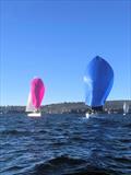 2025 X-Yachts Aurum Cup in Sydney © Kevin Wallis