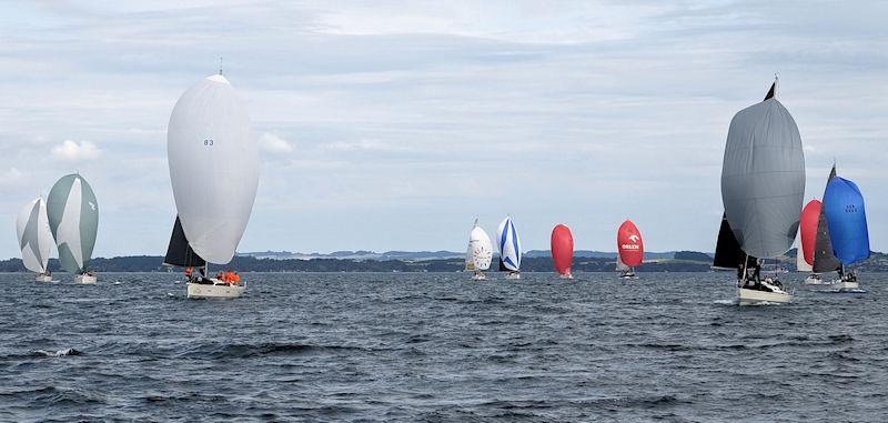 X-Yachts Gold Cup 2023 photo copyright Mark Jardine taken at Sailing Aarhus and featuring the X-Yacht class
