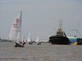 Gravesend Sailing Club Dinghy Regatta © Roy Turner