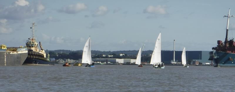 Yachting World Dayboats at Gravesend Sailing Club photo copyright Julie Baker taken at Gravesend Sailing Club and featuring the Yachting World Dayboat class