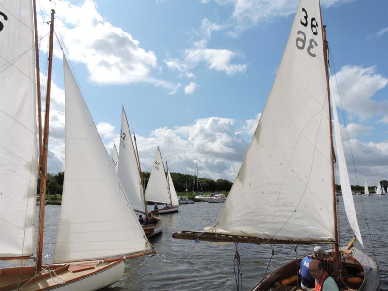 Horning Sailing Club Regatta Week photo copyright Holly Hancock taken at Horning Sailing Club and featuring the Yare & Bure One Design class