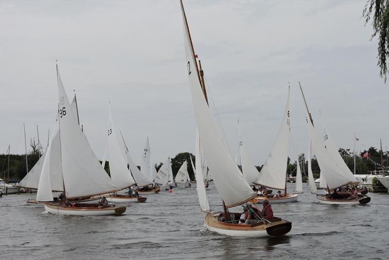 Horning Sailing Club Regatta Week photo copyright Holly Hancock taken at Horning Sailing Club and featuring the Yare & Bure One Design class