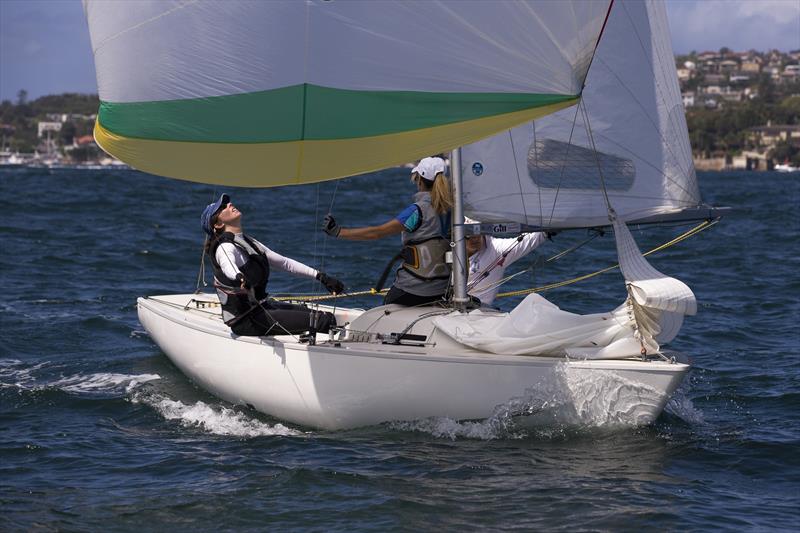 Alex Murray trimming kite on Yngling leader Evie on day 1 of the Sydney Harbour Regatta photo copyright Andrea Francolini / MHYC taken at Middle Harbour Yacht Club and featuring the Yngling class