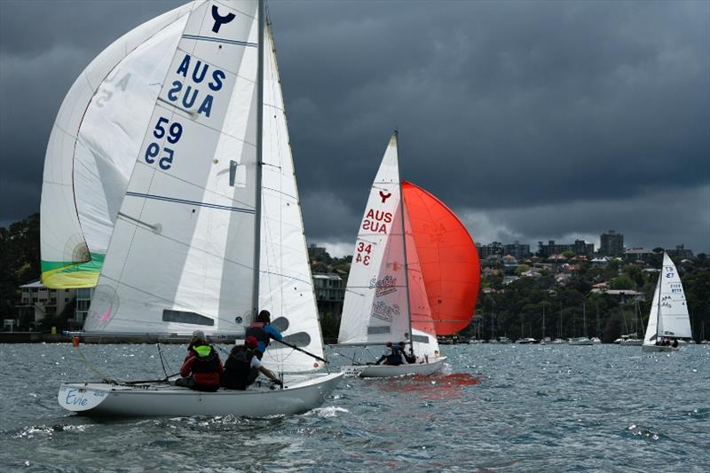 Ladies of the Sea Coaching Regatta 2019 photo copyright Margaret Fraser-Martin taken at Royal Sydney Yacht Squadron and featuring the Yngling class