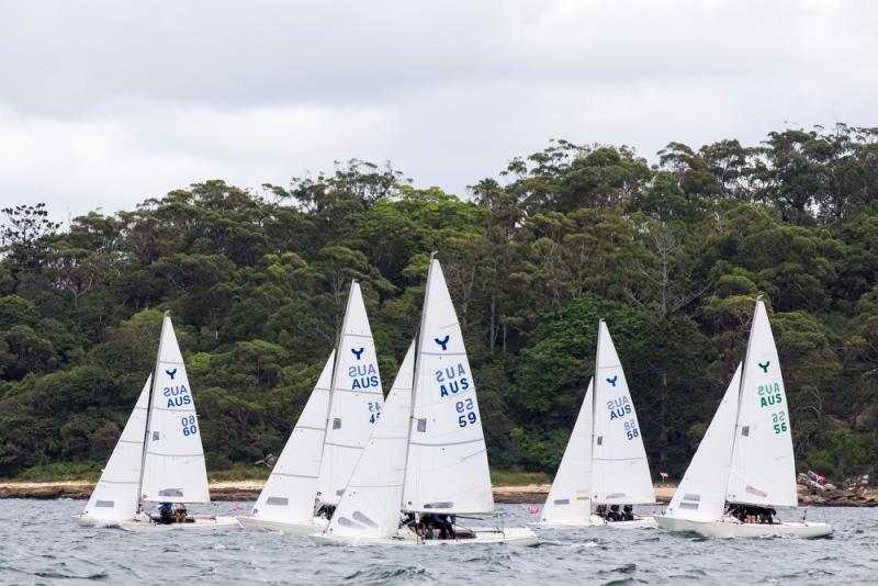 Yngling fleet Taylors Bay - Sydney Harbour Regatta 2020 photo copyright Andrea Francolini taken at Middle Harbour Yacht Club and featuring the Yngling class