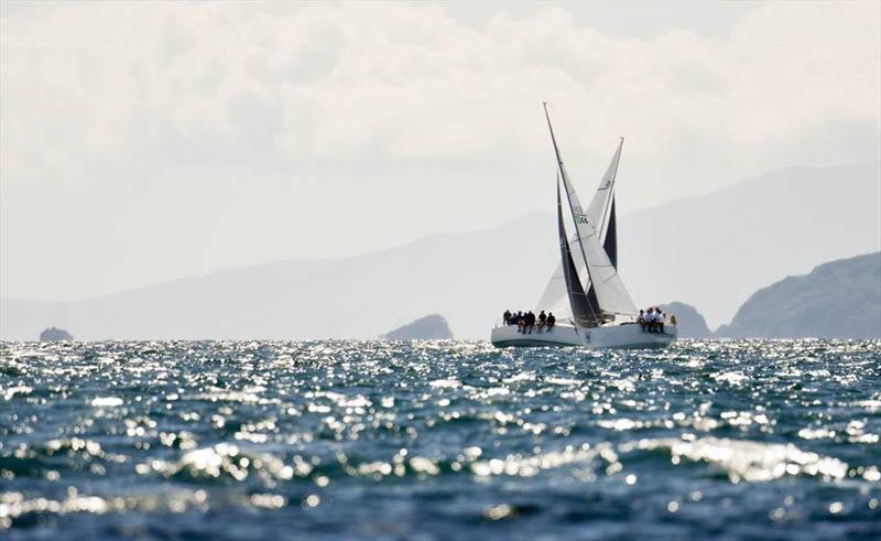 2017 Harken Young 88 Nationals - photo Â© Lissa Reyden of LiveSailDie