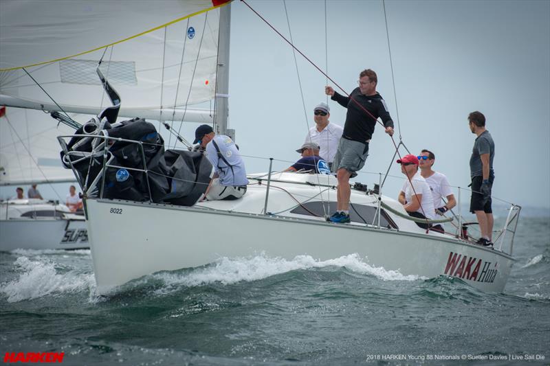 2018 Harken Young 88 National Championship photo copyright Suellen Davies taken at Royal New Zealand Yacht Squadron and featuring the Young 88 class