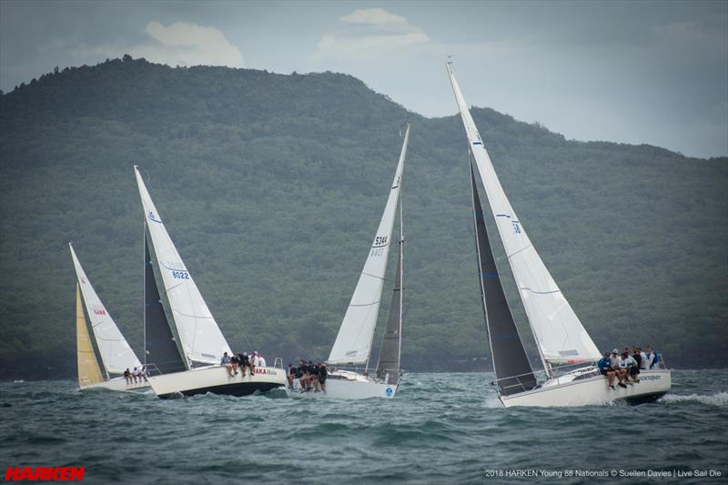 2018 Harken Young 88 National Championship photo copyright Suellen Davies taken at Royal New Zealand Yacht Squadron and featuring the Young 88 class